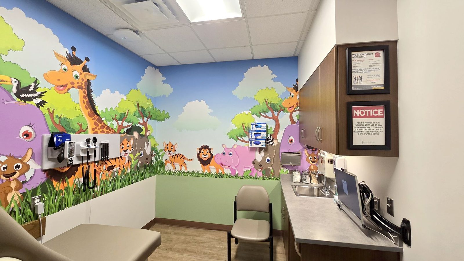 Interior Mural for Pediatric Office in Northern Virginia